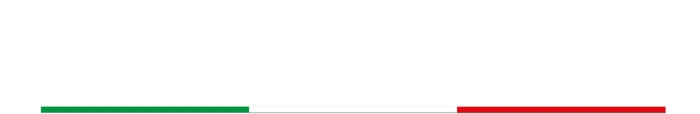 Logo Fluido Sistem_white