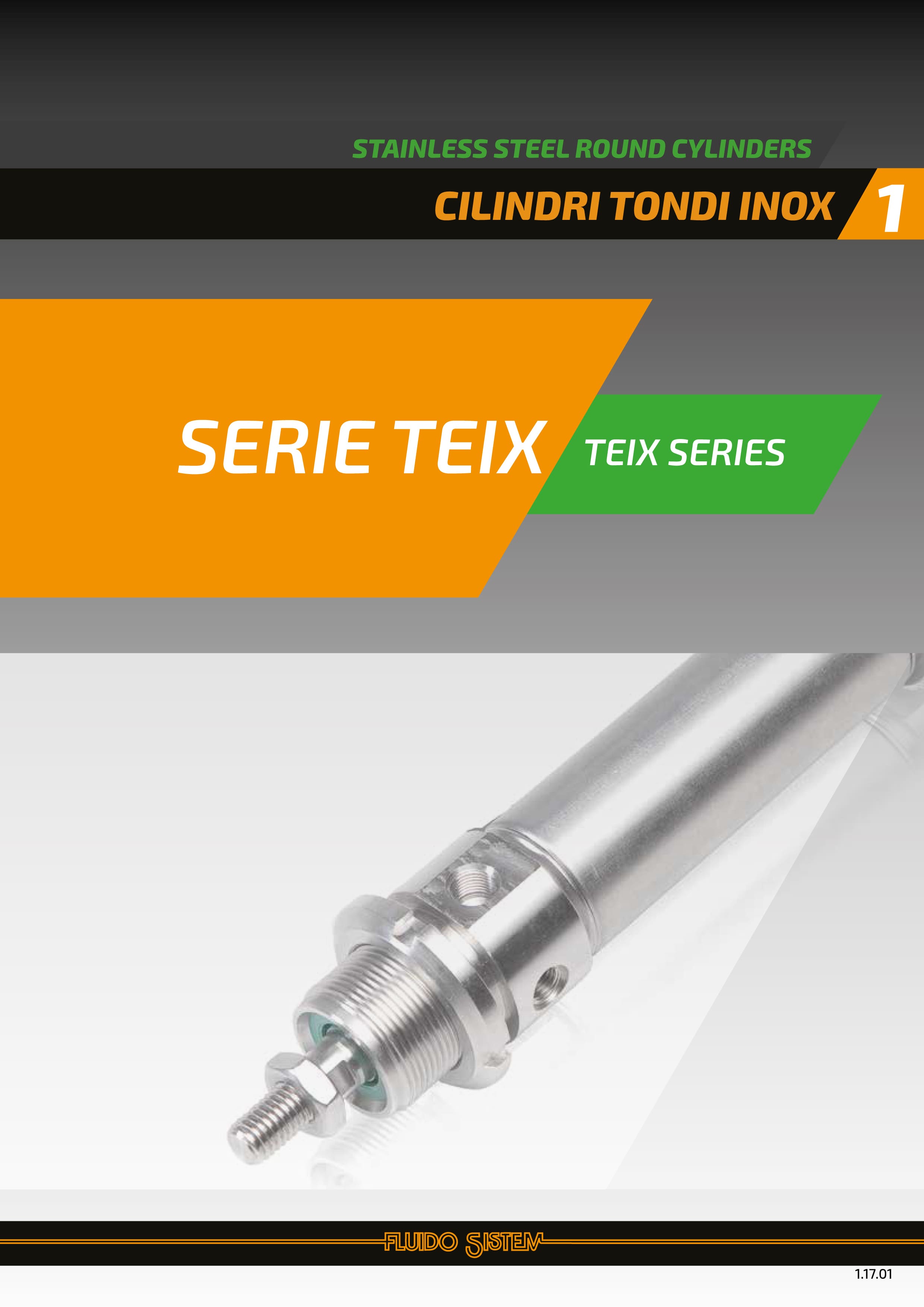 Cilindri pneumatici serie TEIX - Catalogo Fluido Sistem